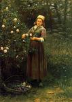 Daniel Ridgway Knight - Rose di taglio