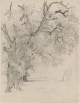 William Trost Richards - Fila di alberi, Interlachen