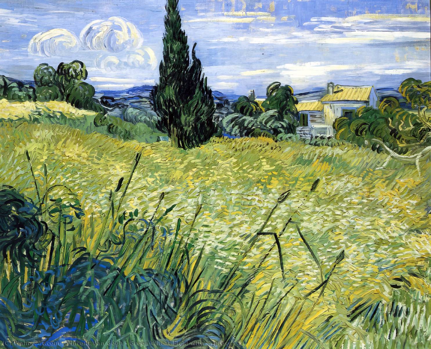campo di grano verde con cipresso, 1889 di Vincent Van Gogh (18531890